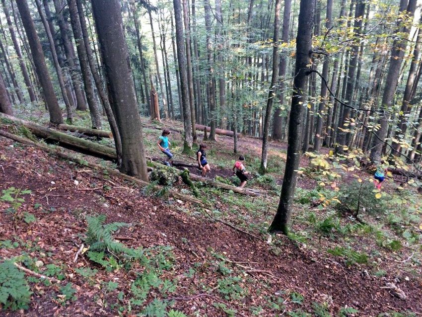 Der Downhill im Wald hinunter zum Sagfleckl / Sagkogel macht richtig Spaß! 